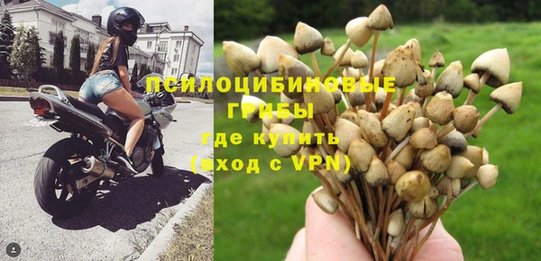 спайс Липки