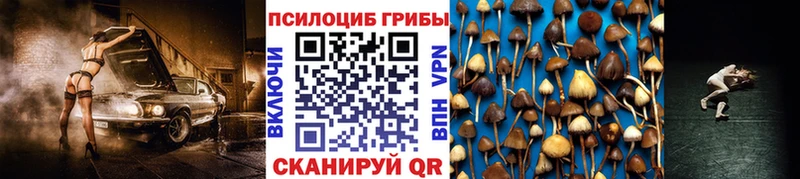 Галлюциногенные грибы прущие грибы Полтавская